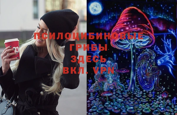 шишки Алексин