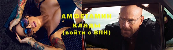 шишки Алексин