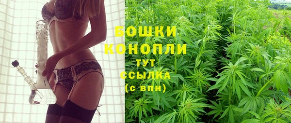 шишки Алексин