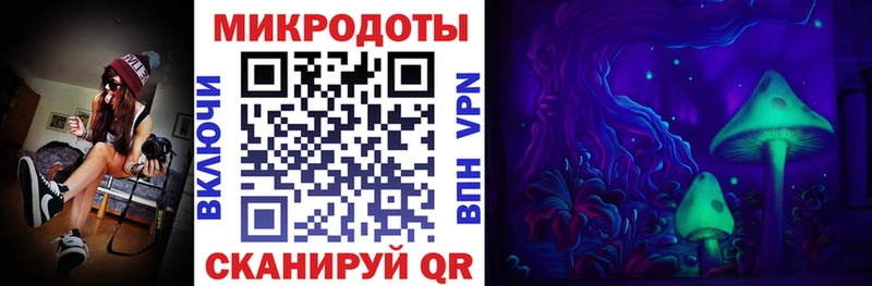 Псилоцибиновые грибы прущие грибы  Абаза 